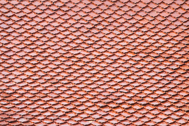 istock pattern of ceramic tiles like fish scales 500510151