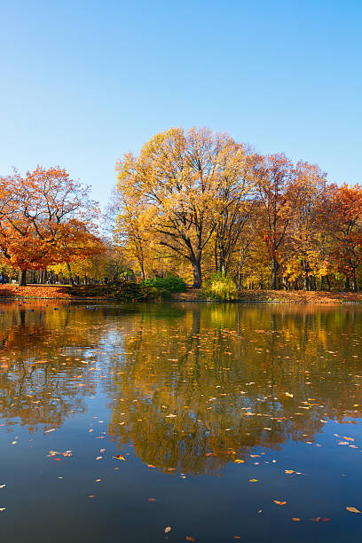 istock autumn park with trees over water 500510697