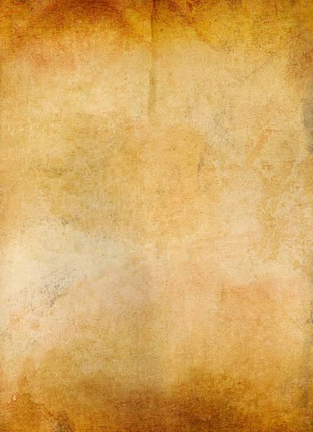 alte papier und grunge - parchment vellum backgrounds old paper stock-grafiken, -clipart, -cartoons und -symbole