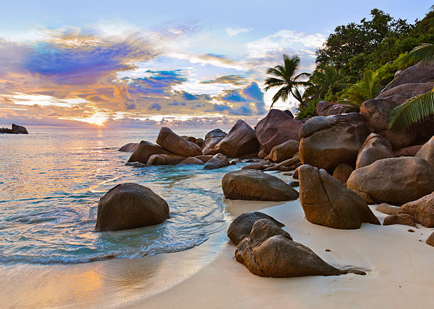 istock Seychelles tropical beach at sunset 500510974