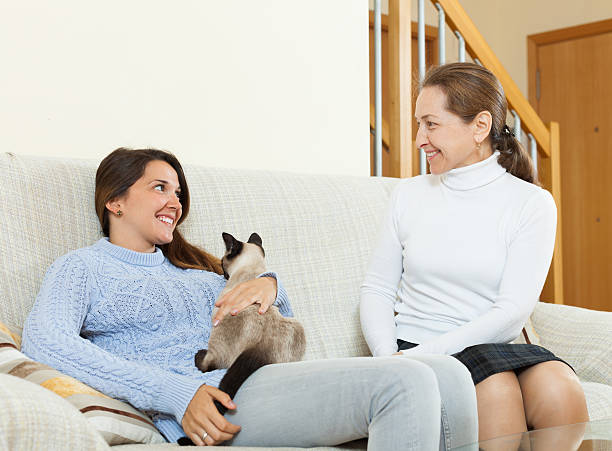 istock Mother and  daughter on sofa 500510977