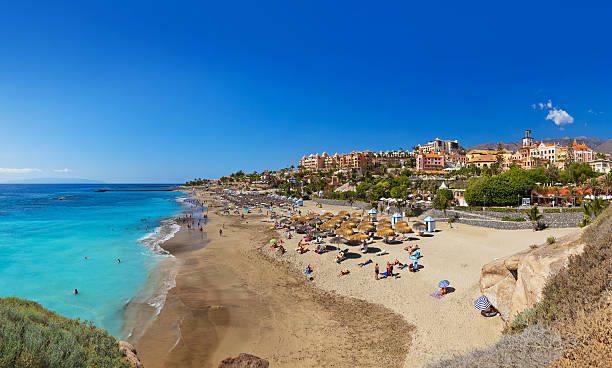 istock Beach in Tenerife island - Canary 500517920