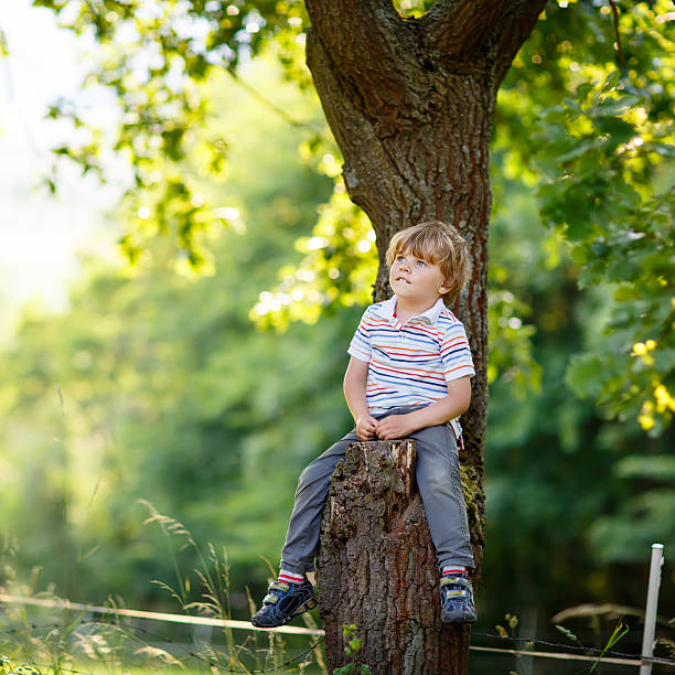 istock Cute little kid boy enjoying climbing on tree 500518916