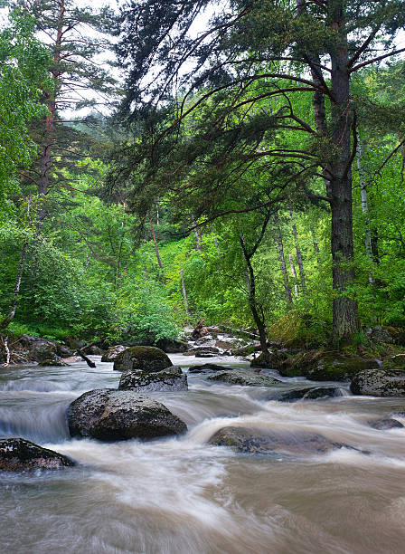 istock Beautiful summer landscape with rapid mountain river 500522481