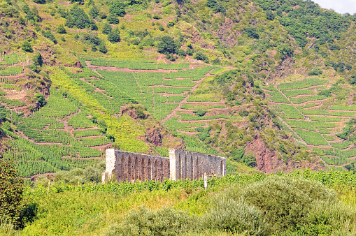 Calmont vineyard region