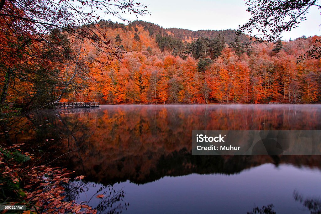 Lake in the Forest Göl, orman, Yedigöller, Bolu-Türkiye Horizontal Stock Photo