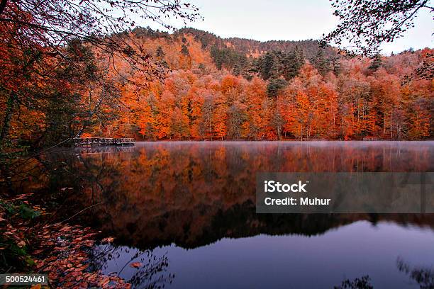 Lake In The Forest Stock Photo - Download Image Now - Horizontal, No People, Photography