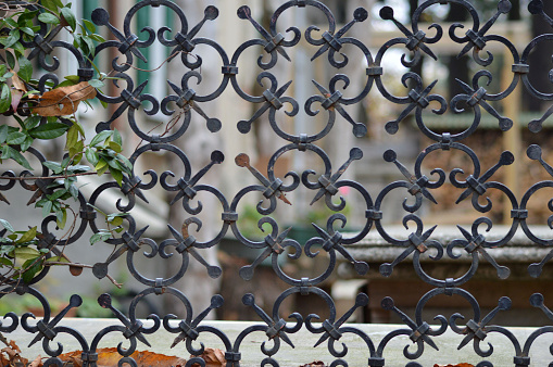 Ancient cast iron railing, green leaves background. Galicia, Spain.
