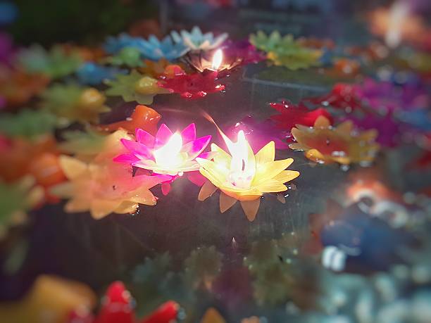 istock Candle flower shape on the water 500535810