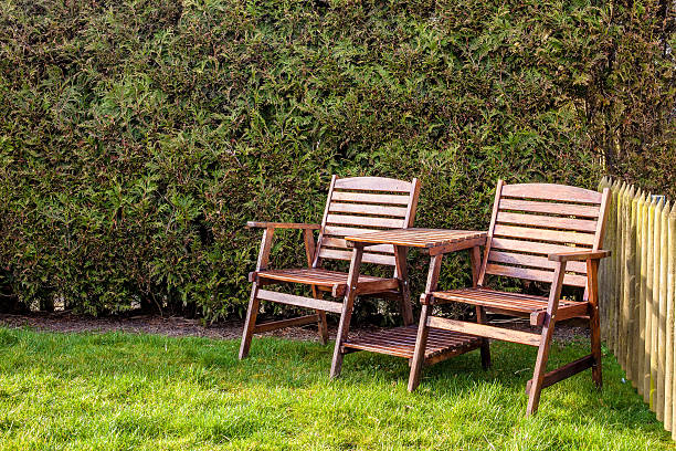 istock wooden table and chairs on green lawn in backyard 500535830
