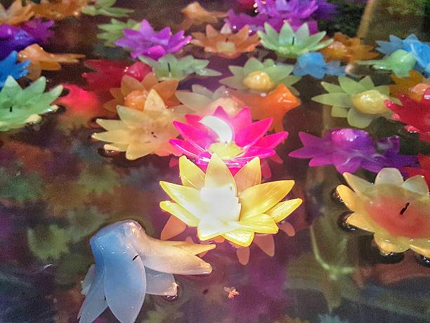 istock Candle flower shape on the water 500536016