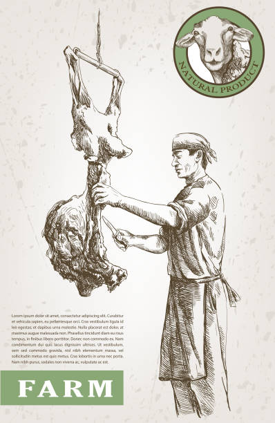 illustrazioni stock, clip art, cartoni animati e icone di tendenza di macellaio di carne - jumbuck