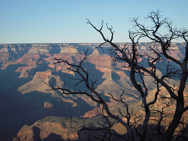 istock Grand Canyon, Arizona 500536375