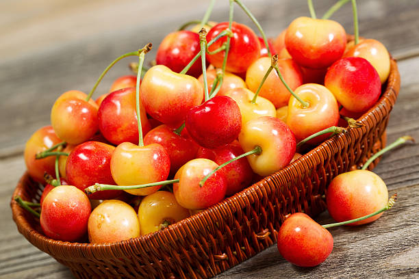 istock Freshly Picked Golden Rainier Cherries in Basket on Rustic Wood 500537301