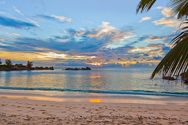 istock Seychelles tropical beach at sunset 500537828