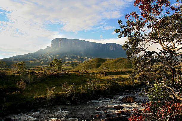 monte roraima, venezuela - ciudad bolivar fotografías e imágenes de stock