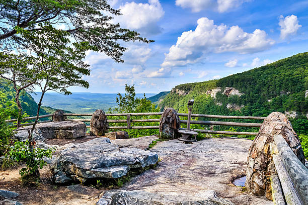 Primary overlook at Cloudland Canyon State Park stock photo