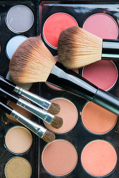 istock Professional makeup palette with makeup brush. 500541050