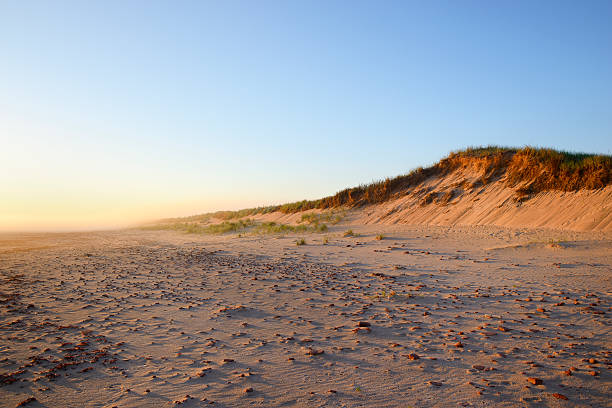istock Sand Dune on Foggy Morning 500541417