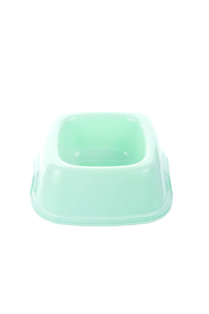 istock New bowl for dry food 500541997