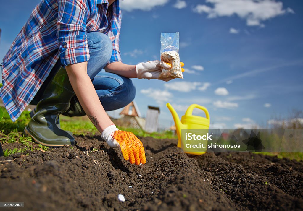 Donna in giardino - Foto stock royalty-free di Adulto