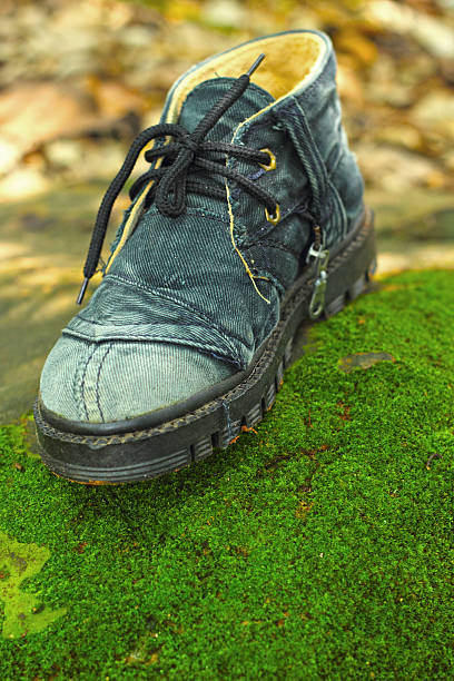 istock Old shoe - in the grass green moss. 500542221