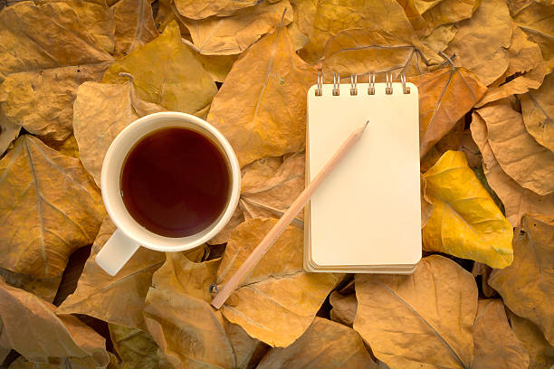 istock relaxing in the forrest with coffee 500548376
