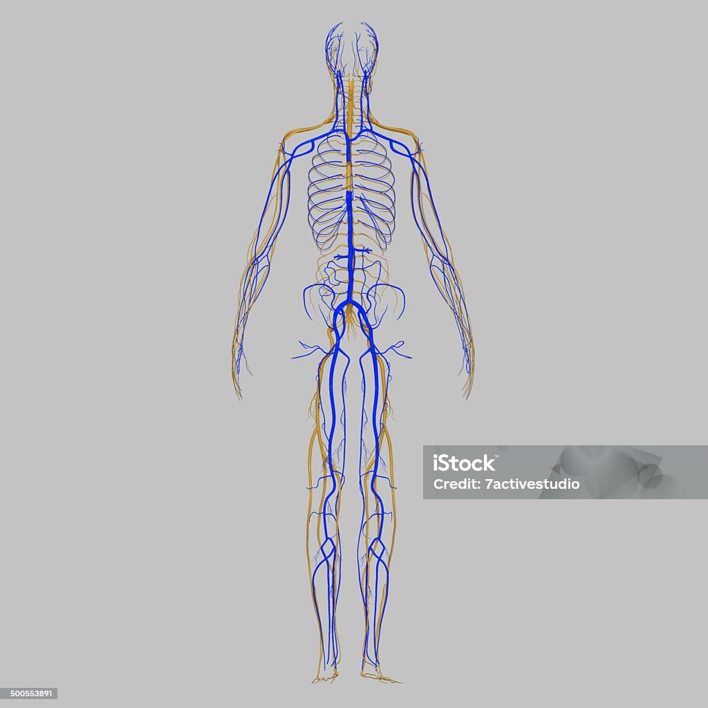My Image 30