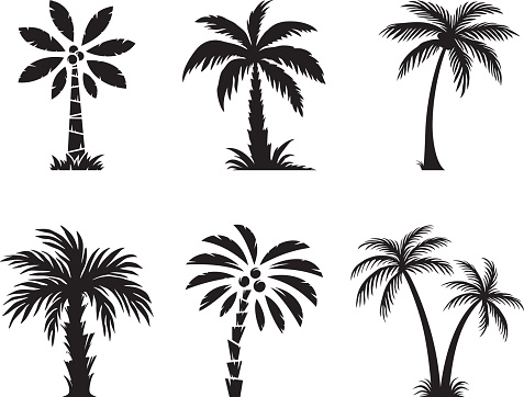 Set of palm trees