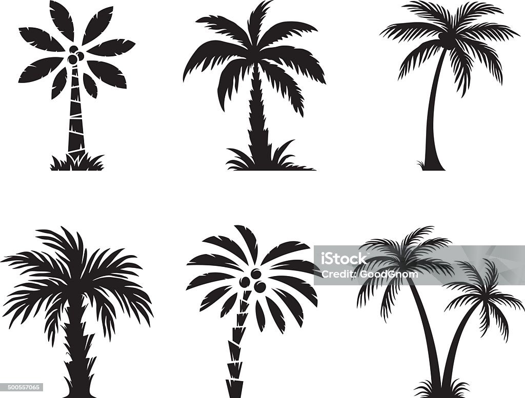 Palm tree Set of palm trees Palm Tree stock vector