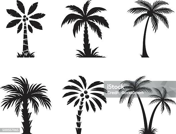 Palm Tree Stock Illustration - Download Image Now - Palm Tree, Coconut Palm Tree, Vector