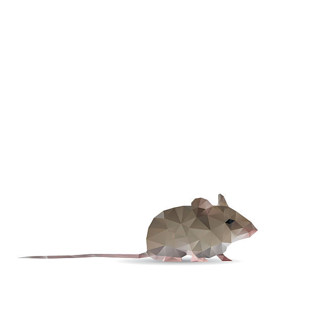 Abstract rat isolated on a white backgrounds Abstract rat isolated on a white backgrounds baby mice stock illustrations