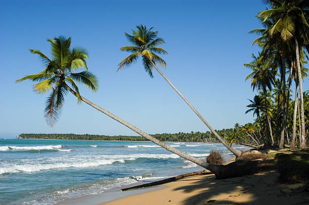Caribbean beach of playa bonita at Las Terrenas stock photo