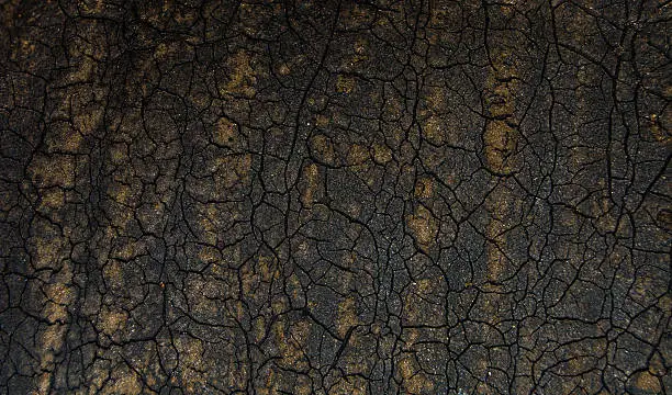 cracked on the dry earth, dark background