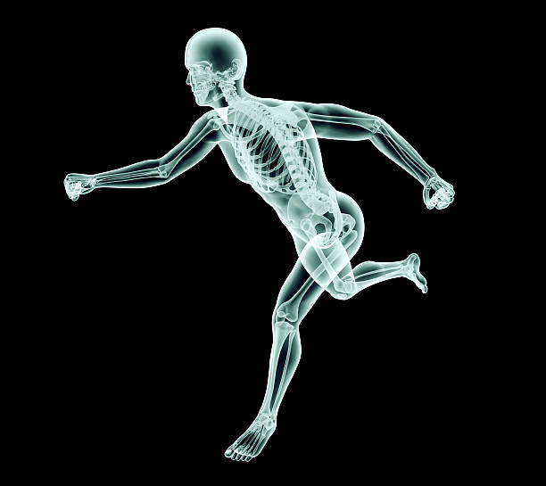 istock x-ray image of a man on black with clipping path 500571086