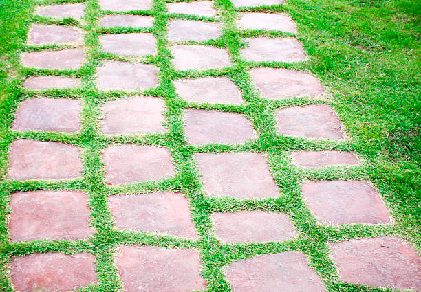 istock The path way in the garden 500571754