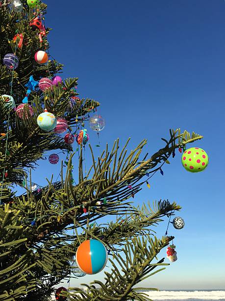Christmas Tree at the Beach stock photo