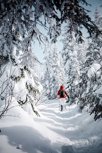 mujer caminar con snowshoes en invierno paisaje de bosque - winter snowshoeing running snowshoe fotografías e imágenes de stock