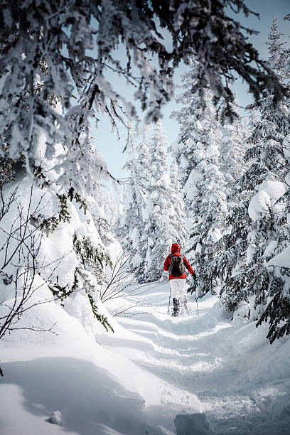 donna camminare con le racchette nel paesaggio invernale di foresta - winter snowshoeing running snowshoe foto e immagini stock