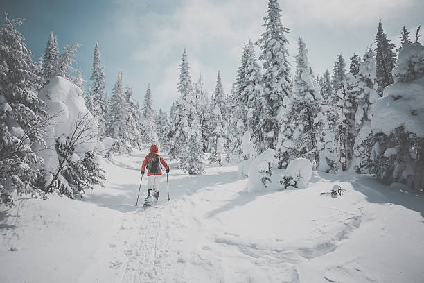 frau zu fuß mit schneeschuhen in winter forest landschaft - winter snowshoeing running snowshoe stock-fotos und bilder