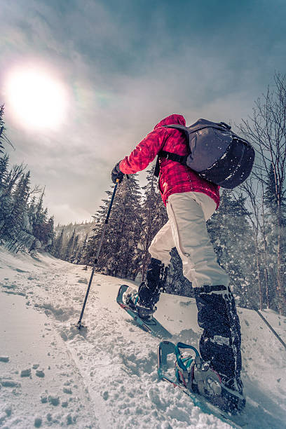 mujer caminar con snowshoes en invierno paisaje de bosque - winter snowshoeing running snowshoe fotografías e imágenes de stock