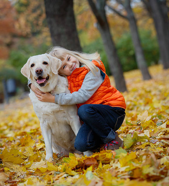 istock Girl with her dog labrador 500573044