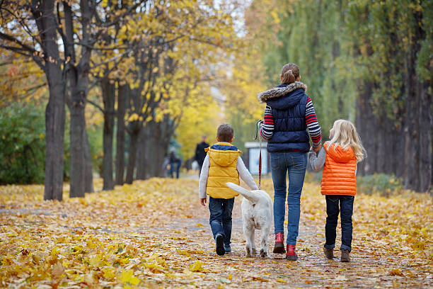 istock Kids with his dog labrador 500573470