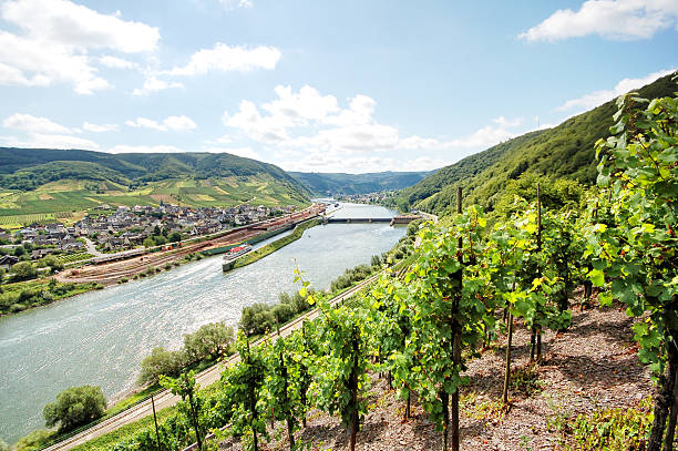 istock Mosel River vineyard with villages Fankel. 500574051