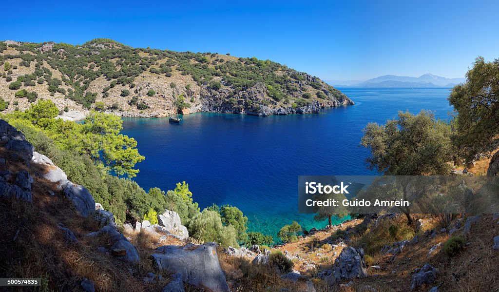 Baie isolée de la cuisine méditerranéenne de Turquie - Photo de Arbre libre de droits