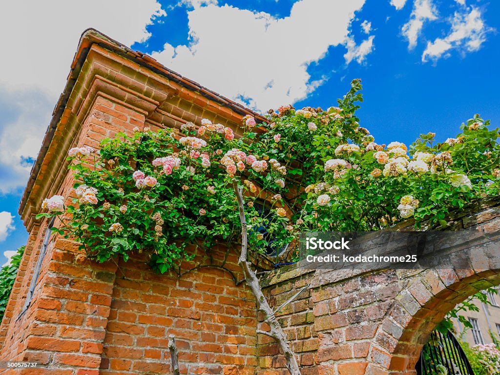 gardens a lush green english garden on a warm sunny summers day August Stock Photo