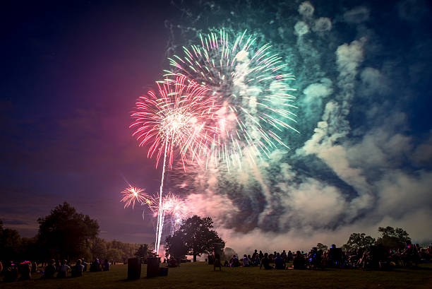 istock People looking at fireworks in honor of Independence Day 500577494