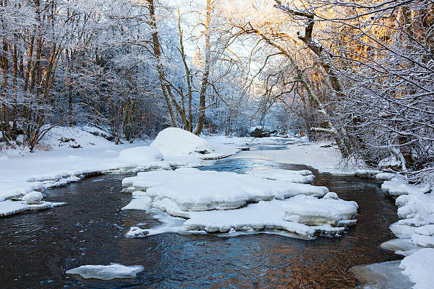 istock River running through the valley in a winter forest 500577668
