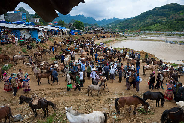 feira de domingo na bac ha, vietnã - bac ha - fotografias e filmes do acervo