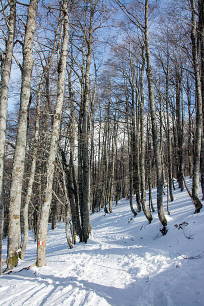 istock Italian winter landscape 500579088